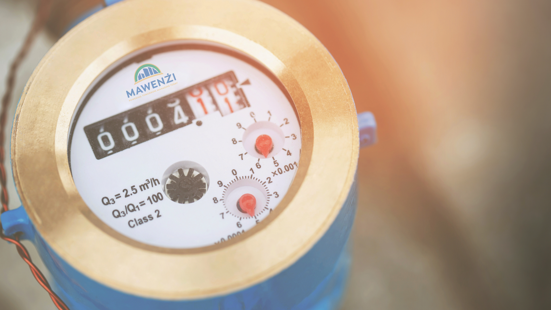 The Benefits of Individual Water Metering in Sectional Title Schemes in South Africa Article Image